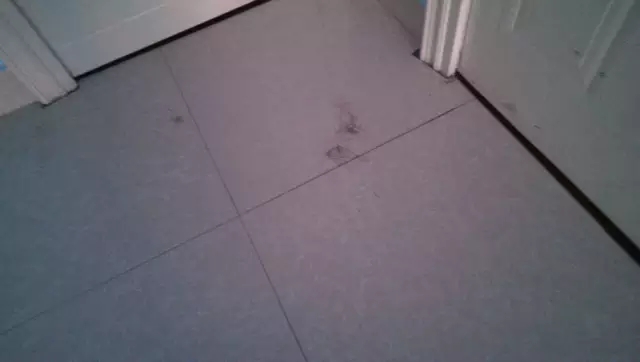 20181121164823753.jpg